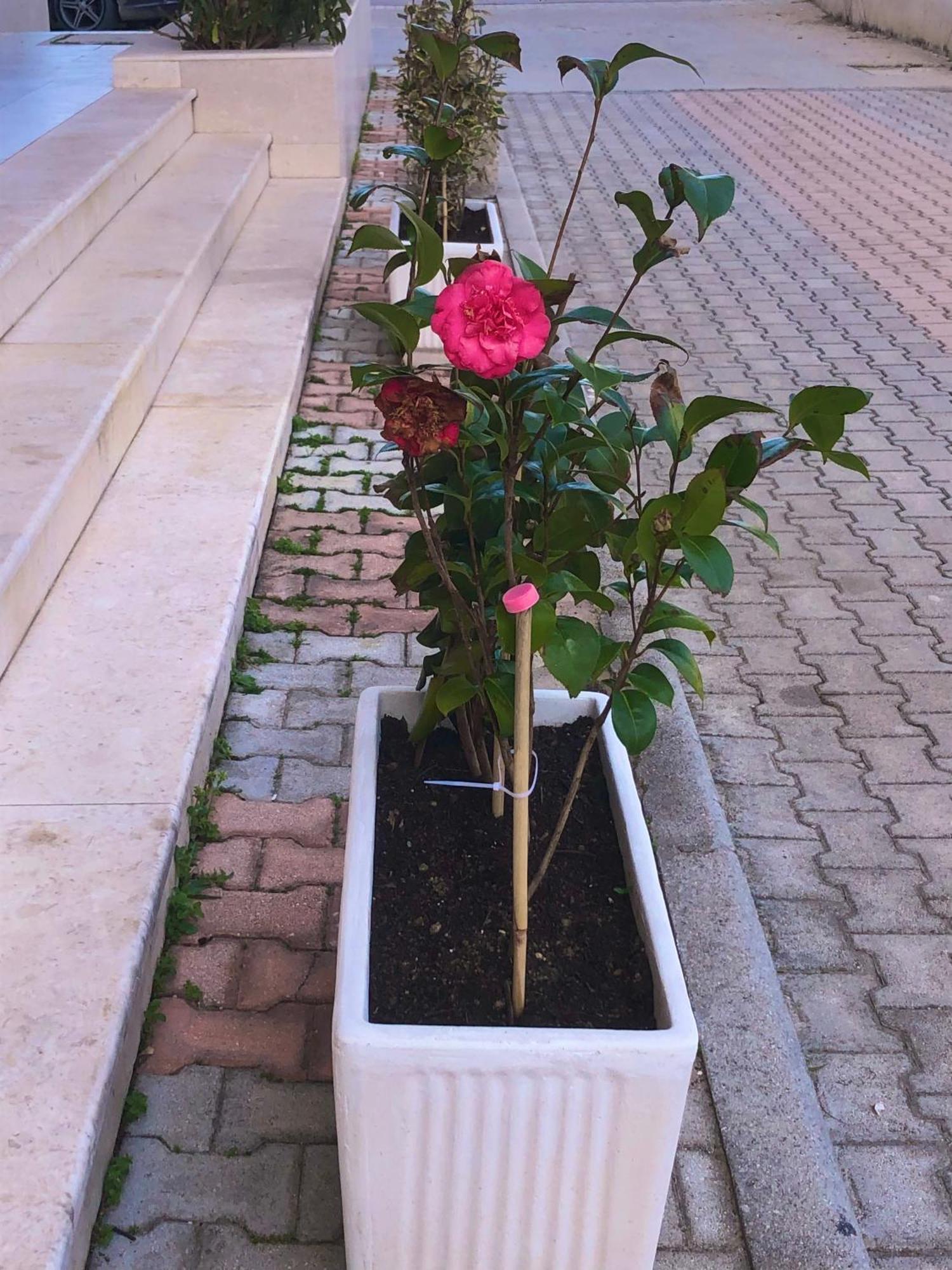 Vlore Apartment Apartament Wlora